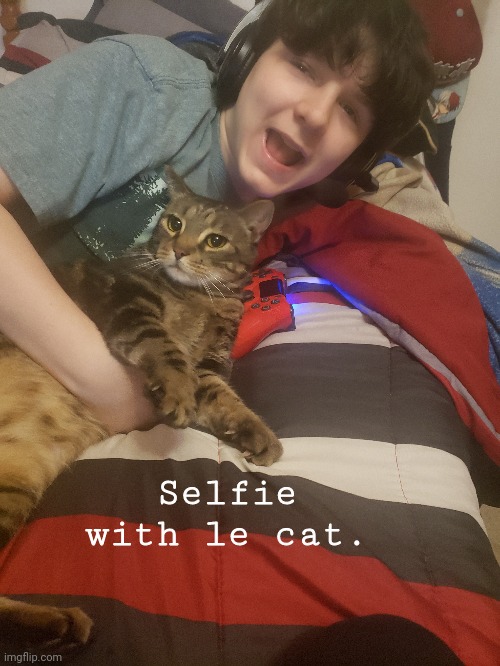 Le cat time bois | Selfie with le cat. | image tagged in imgflip,memes,fun | made w/ Imgflip meme maker