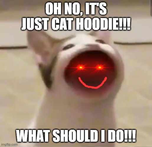 Pop Cat | OH NO, IT'S JUST CAT HOODIE!!! WHAT SHOULD I DO!!! | image tagged in pop cat | made w/ Imgflip meme maker