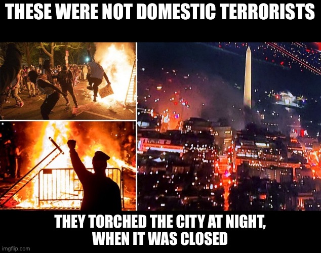 DC riot | THESE WERE NOT DOMESTIC TERRORISTS THEY TORCHED THE CITY AT NIGHT,
WHEN IT WAS CLOSED | image tagged in dc riot | made w/ Imgflip meme maker