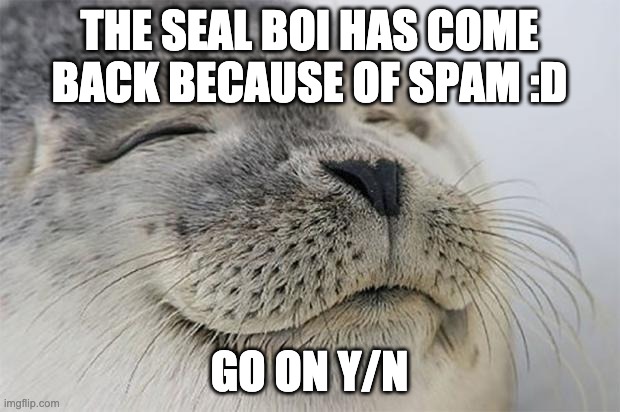 Satisfied Seal | THE SEAL BOI HAS COME BACK BECAUSE OF SPAM :D; GO ON Y/N | image tagged in memes,satisfied seal | made w/ Imgflip meme maker