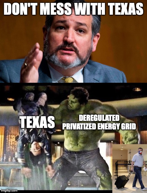 DON'T MESS WITH TEXAS; DEREGULATED PRIVATIZED ENERGY GRID; TEXAS | image tagged in ted cruze serious,hulk loki | made w/ Imgflip meme maker