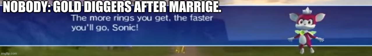 Hmmm. sus... | NOBODY: GOLD DIGGERS AFTER MARRIGE. | image tagged in sonic the hedgehog | made w/ Imgflip meme maker