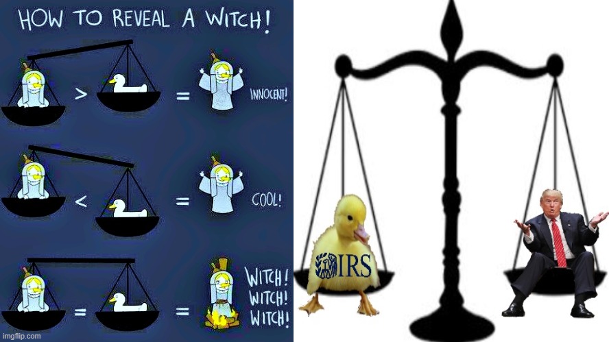 He's a Witch! | image tagged in maga,trump,never trump,trump unfit unqualified dangerous,justice,witch hunt | made w/ Imgflip meme maker