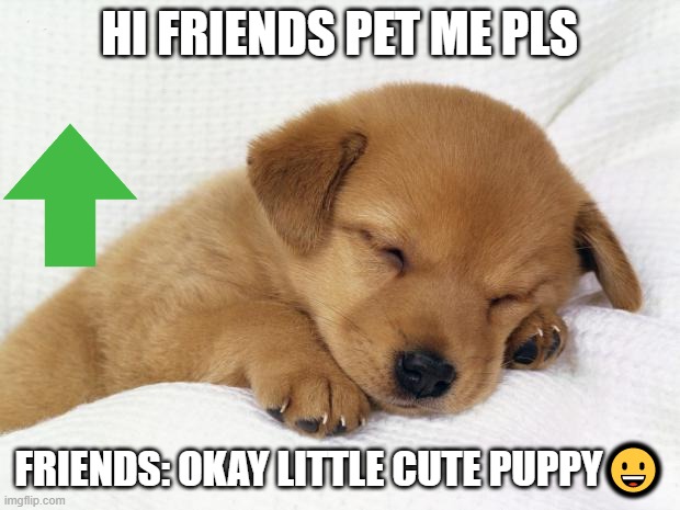 cute doggie | HI FRIENDS PET ME PLS; FRIENDS: OKAY LITTLE CUTE PUPPY😀 | image tagged in cute doggie | made w/ Imgflip meme maker