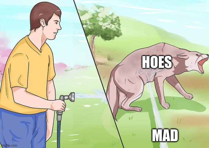 Water hose dog | HOES; MAD | image tagged in water hose dog | made w/ Imgflip meme maker