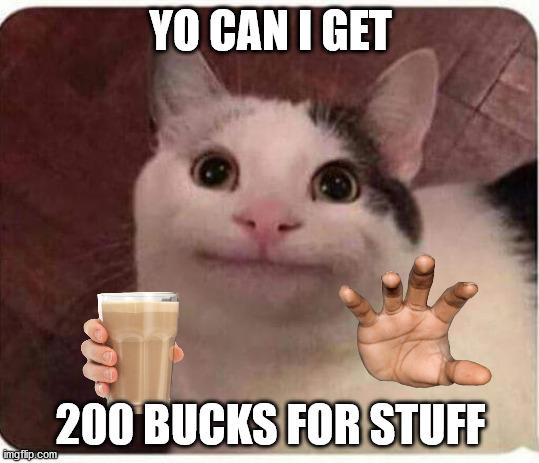 Polite Cat | YO CAN I GET; 200 BUCKS FOR STUFF | image tagged in polite cat | made w/ Imgflip meme maker