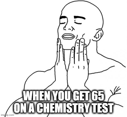 Chem..... | WHEN YOU GET 65 ON A CHEMISTRY TEST | image tagged in feels good man,chemistry | made w/ Imgflip meme maker