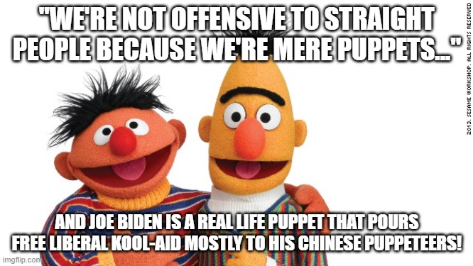 Woke Culture Disney disclaimer! | "WE'RE NOT OFFENSIVE TO STRAIGHT PEOPLE BECAUSE WE'RE MERE PUPPETS..."; AND JOE BIDEN IS A REAL LIFE PUPPET THAT POURS FREE LIBERAL KOOL-AID MOSTLY TO HIS CHINESE PUPPETEERS! | image tagged in bert and ernie,cancel culture,disney,snowflakes | made w/ Imgflip meme maker