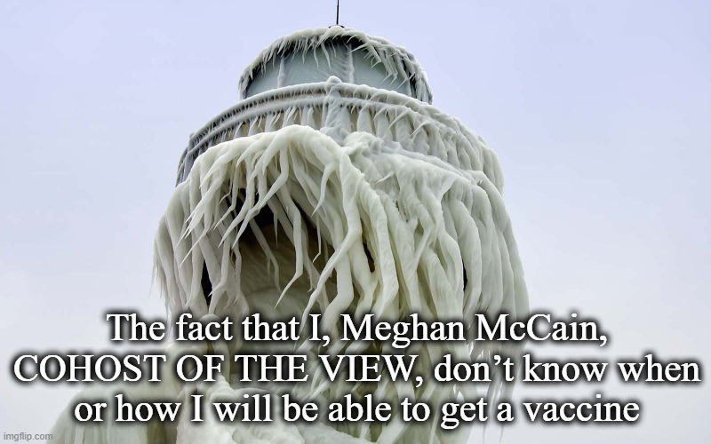The fact that I, Meghan McCain, COHOST OF THE VIEW, don’t know when or how I will be able to get a vaccine | image tagged in john mccain | made w/ Imgflip meme maker