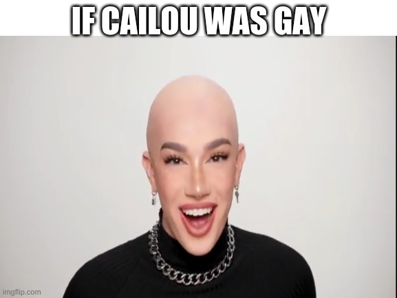 Oh god | IF CAILOU WAS GAY | image tagged in james charles,caillou,gay jokes,no homo | made w/ Imgflip meme maker