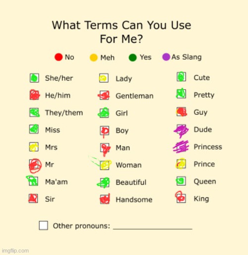 Pronouns Sheet | image tagged in pronouns sheet,emu,lgbtq,alloromantic,demigirl,demigender | made w/ Imgflip meme maker