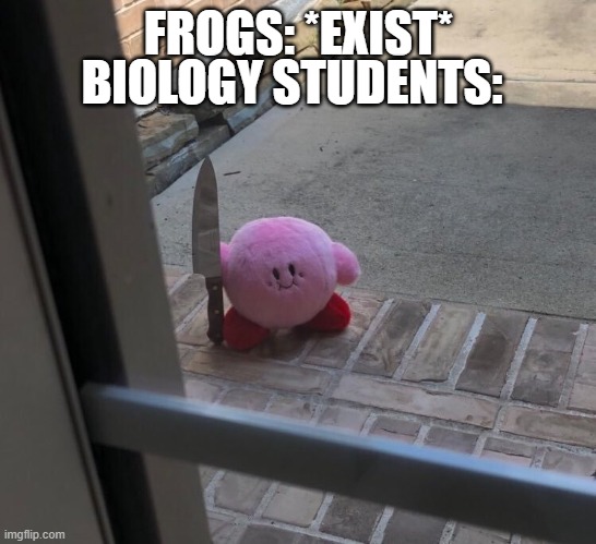 Kirby with a Knife | FROGS: *EXIST*; BIOLOGY STUDENTS: | image tagged in kirby with a knife,biology,school,memes | made w/ Imgflip meme maker