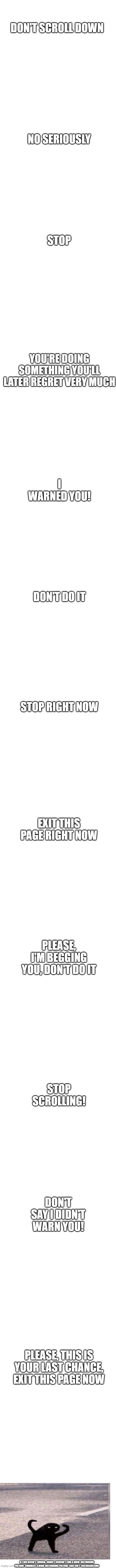 DON'T SCROLL DOWN; NO SERIOUSLY; STOP; YOU'RE DOING SOMETHING YOU'LL LATER REGRET VERY MUCH; I WARNED YOU! DON'T DO IT; STOP RIGHT NOW; EXIT THIS PAGE RIGHT NOW; PLEASE, I'M BEGGING YOU, DON'T DO IT; STOP SCROLLING! DON'T SAY I DIDN'T WARN YOU! PLEASE, THIS IS YOUR LAST CHANCE, EXIT THIS PAGE NOW; IF THIS WASN'T ENOUGH, SORRY I COULDN'T FIND A MORE DISTURBING PICTURE. COMMENT A MORE DISTURBING PICTURE THAT ISN'T TOO DISGUSTING | image tagged in blank white template | made w/ Imgflip meme maker