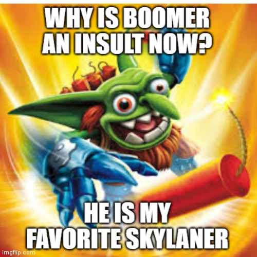 Boomer = fun? | image tagged in boomer,skylanders | made w/ Imgflip meme maker