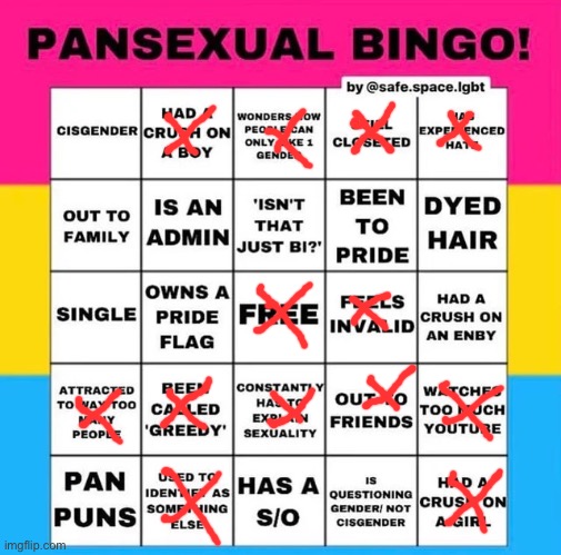 Bingo | image tagged in pansexual bingo | made w/ Imgflip meme maker