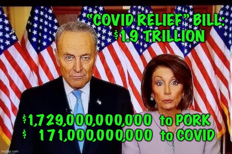Chuck and Nancy | “COVID RELIEF” BILL:
  $1.9 TRILLION; MRA; $1,729,000,000,000  to PORK
$   171,000,000,000  to COVID | image tagged in chuck and nancy | made w/ Imgflip meme maker