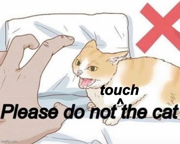 Fixed it | ^; touch | image tagged in please do not the cat | made w/ Imgflip meme maker