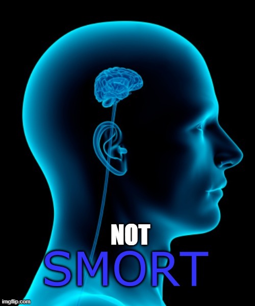 smort | NOT | image tagged in smort | made w/ Imgflip meme maker