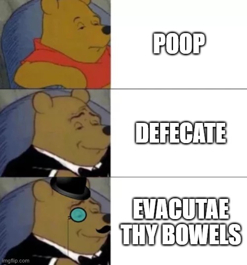 Fancy Pooh | POOP; DEFECATE; EVACUTAE THY BOWELS | image tagged in fancy pooh | made w/ Imgflip meme maker