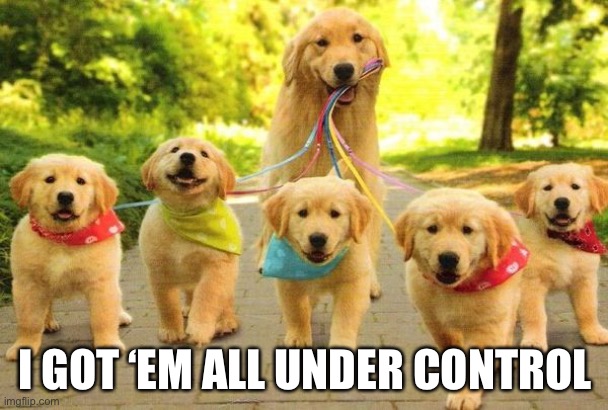 LOL | I GOT ‘EM ALL UNDER CONTROL | image tagged in dogs,memes,funny,animals | made w/ Imgflip meme maker