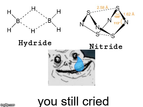 no name... | you still cried | image tagged in hydride nitride | made w/ Imgflip meme maker