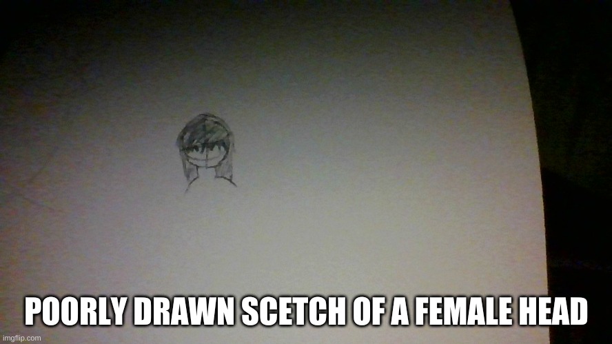 POORLY DRAWN SCETCH OF A FEMALE HEAD | made w/ Imgflip meme maker