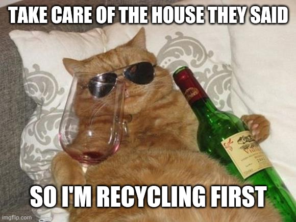 Funny Cat Birthday | TAKE CARE OF THE HOUSE THEY SAID; SO I'M RECYCLING FIRST | image tagged in funny cat birthday | made w/ Imgflip meme maker