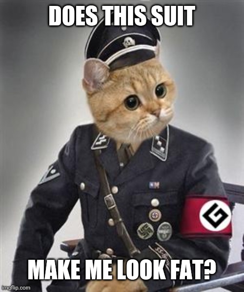 Grammar Nazi Cat | DOES THIS SUIT; MAKE ME LOOK FAT? | image tagged in grammar nazi cat | made w/ Imgflip meme maker