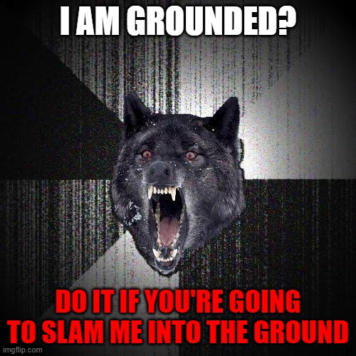 ya mean kissing mother earth -some guy | I AM GROUNDED? DO IT IF YOU'RE GOING TO SLAM ME INTO THE GROUND | image tagged in memes,insanity wolf | made w/ Imgflip meme maker