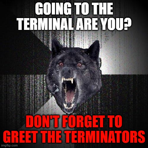 jeez....insane? | GOING TO THE TERMINAL ARE YOU? DON'T FORGET TO GREET THE TERMINATORS | image tagged in memes,insanity wolf | made w/ Imgflip meme maker