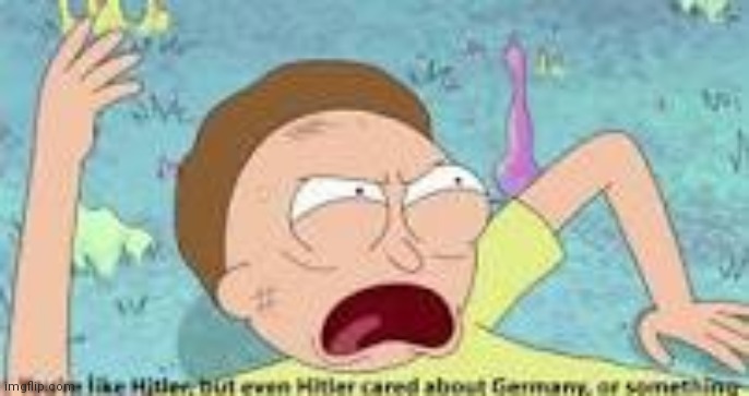 your like hitler | image tagged in your like hitler | made w/ Imgflip meme maker