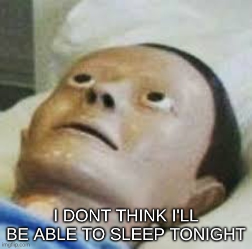Traumatized Mannequin | I DONT THINK I'LL BE ABLE TO SLEEP TONIGHT | image tagged in traumatized mannequin | made w/ Imgflip meme maker