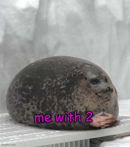 Seal waiting | me with 2 | image tagged in seal waiting | made w/ Imgflip meme maker