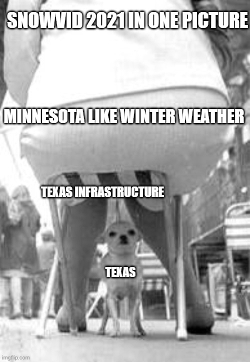 SNOWVID 2021 IN ONE PICTURE; MINNESOTA LIKE WINTER WEATHER; TEXAS INFRASTRUCTURE; TEXAS | image tagged in snovid,texas | made w/ Imgflip meme maker