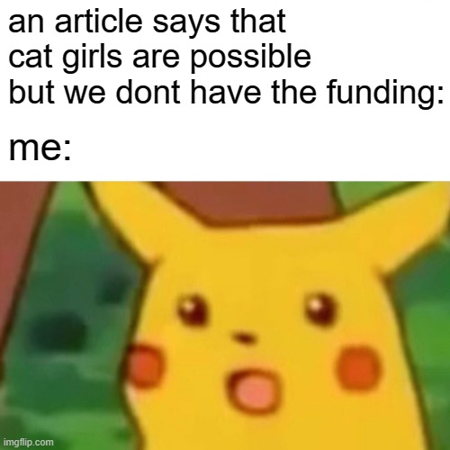 idk if its a blessing or a curse | an article says that cat girls are possible but we dont have the funding:; me: | image tagged in memes,surprised pikachu,catgirls | made w/ Imgflip meme maker