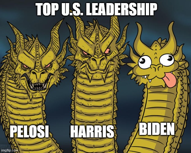 US Leaders | TOP U.S. LEADERSHIP; BIDEN; PELOSI; HARRIS | image tagged in three-headed dragon | made w/ Imgflip meme maker