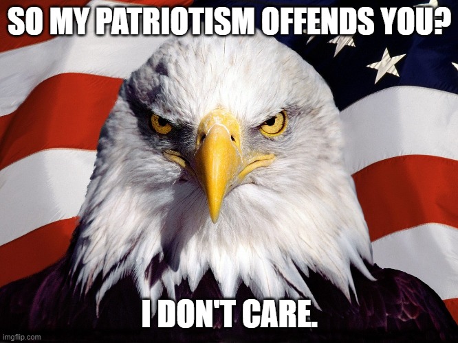 Patriotism Offends You | SO MY PATRIOTISM OFFENDS YOU? I DON'T CARE. | image tagged in eagle and flag | made w/ Imgflip meme maker