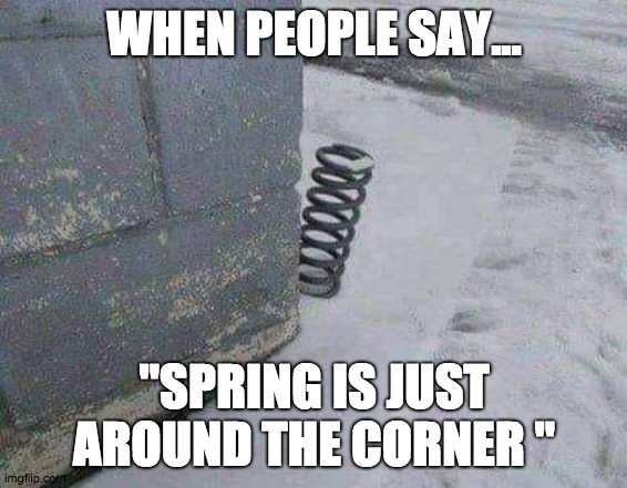Spring corner | WHEN PEOPLE SAY... "SPRING IS JUST AROUND THE CORNER " | image tagged in funny memes | made w/ Imgflip meme maker