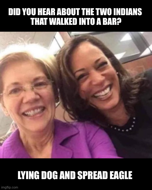 No fact checking necessary | DID YOU HEAR ABOUT THE TWO INDIANS 
THAT WALKED INTO A BAR? LYING DOG AND SPREAD EAGLE | image tagged in liz,kam | made w/ Imgflip meme maker