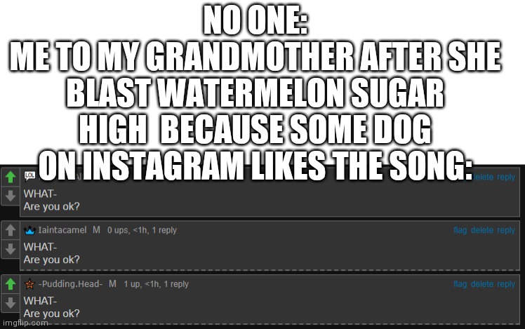 are you ok | NO ONE:
ME TO MY GRANDMOTHER AFTER SHE BLAST WATERMELON SUGAR HIGH  BECAUSE SOME DOG ON INSTAGRAM LIKES THE SONG: | image tagged in are you ok | made w/ Imgflip meme maker