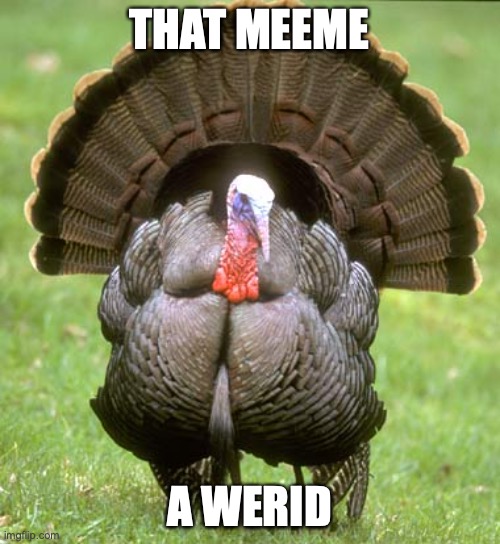 Turkey Meme | THAT MEEME A WERID | image tagged in memes,turkey | made w/ Imgflip meme maker