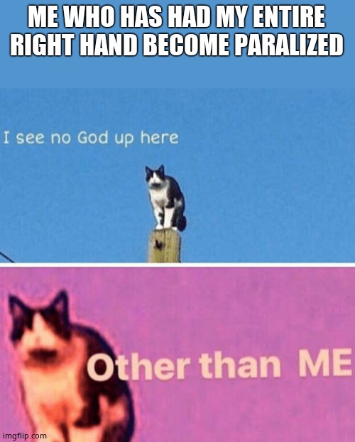 Hail pole cat | ME WHO HAS HAD MY ENTIRE RIGHT HAND BECOME PARALIZED | image tagged in hail pole cat | made w/ Imgflip meme maker