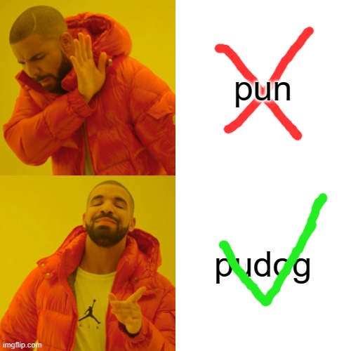 Drake Hotline Bling Meme | pun pudog | image tagged in memes,drake hotline bling | made w/ Imgflip meme maker