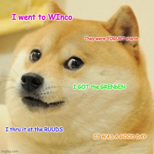 JENNTE go to WINCO | I went to WInco; They were YOGURT starin; I GOT the GRENbEN; I thru it at the RUUDS; IT WAS A GOOD DAY | image tagged in memes,doge,winco | made w/ Imgflip meme maker