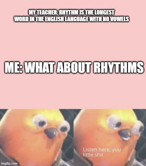 MY TEACHER: RHYTHM IS THE LONGEST WORD IN THE ENGLISH LANGUAGE WITH NO VOWELS; ME: WHAT ABOUT RHYTHMS | image tagged in listen here you little shit bird | made w/ Imgflip meme maker
