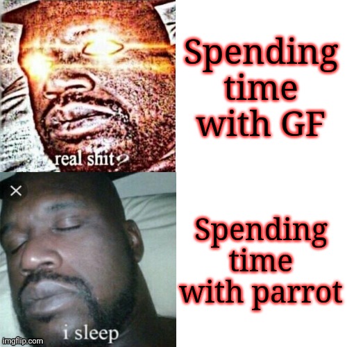 I never spent time with GF, change my mind | Spending time with GF; Spending time with parrot | image tagged in shaq hotline bling | made w/ Imgflip meme maker