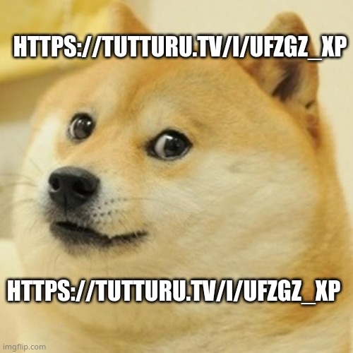 bc yes. just me, cam, and plrent. cam is currently failing at drawing a t r u c k :[ | HTTPS://TUTTURU.TV/I/UFZGZ_XP; HTTPS://TUTTURU.TV/I/UFZGZ_XP | image tagged in memes,doge | made w/ Imgflip meme maker