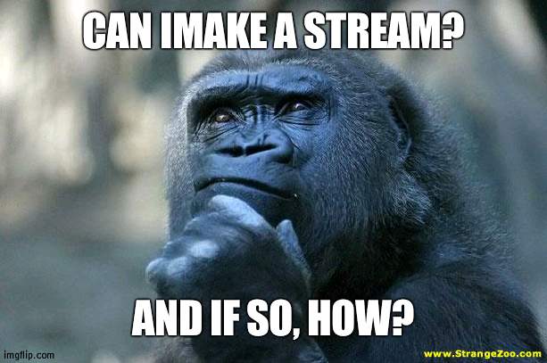 Deep Thoughts | CAN IMAKE A STREAM? AND IF SO, HOW? | image tagged in deep thoughts | made w/ Imgflip meme maker