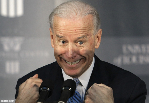 Stupid Joe Biden | image tagged in stupid joe biden | made w/ Imgflip meme maker