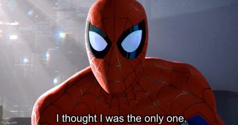 I thought I was the only one | image tagged in i thought i was the only one,spiderman,memes | made w/ Imgflip meme maker